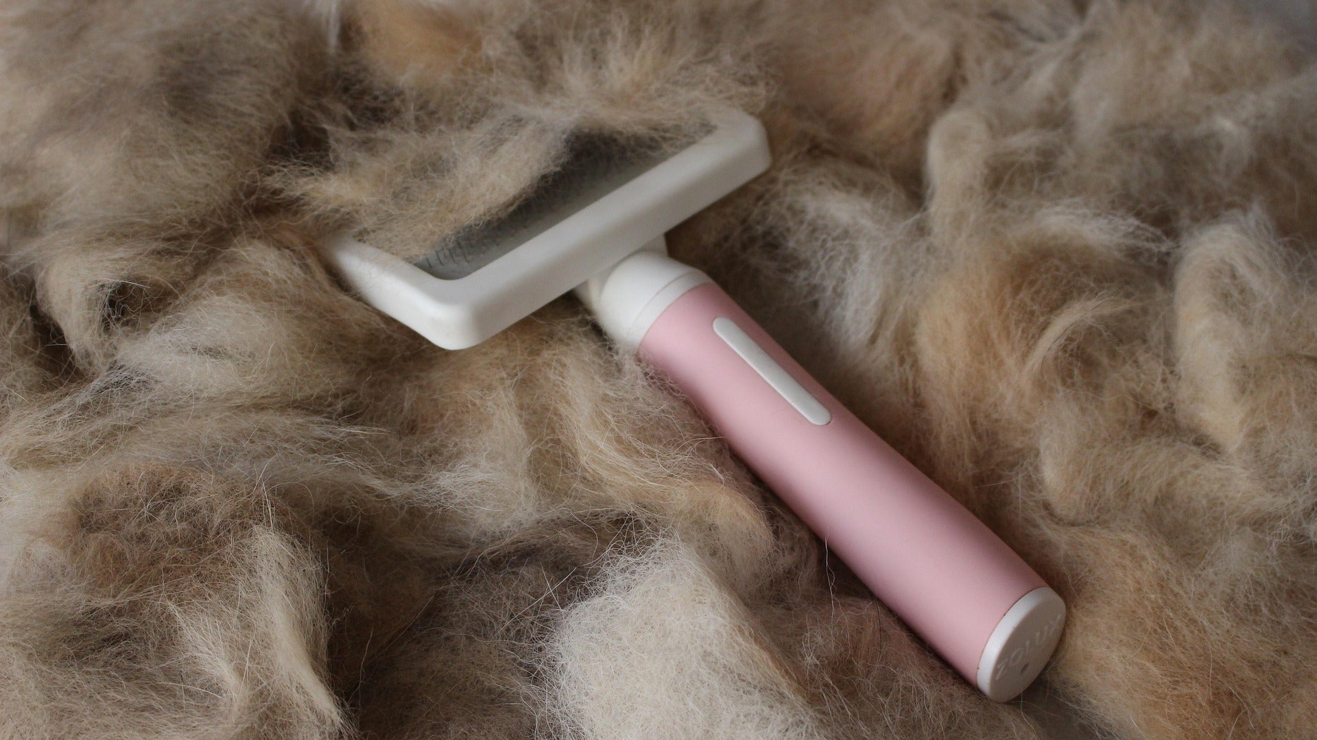 Grooming Essentials
